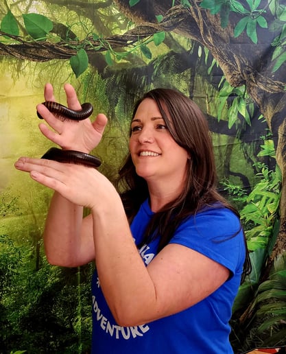 Gallery photo 4 of Leaping lizards Adventure of NH