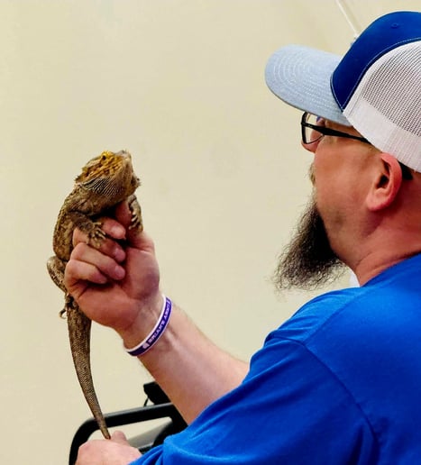 Gallery photo 10 of Leaping lizards Adventure of NH
