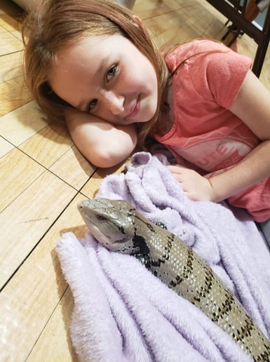 Gallery photo 1 of Leaping Lizards Adventure