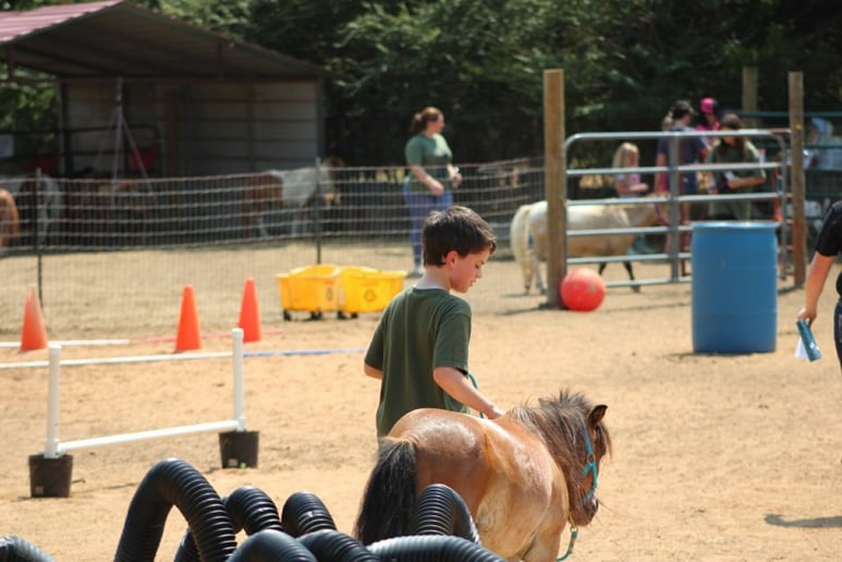 Gallery photo 2 of Flames to Hope Equine Assisted Services