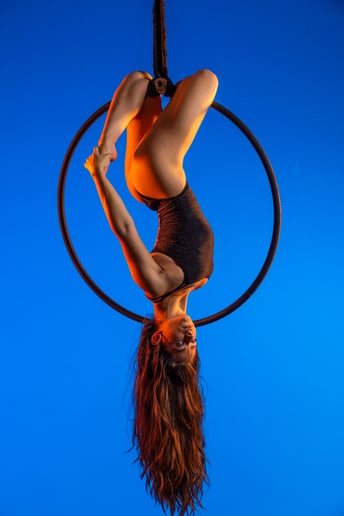 Gallery photo 6 of Professional Aerialist & Performer