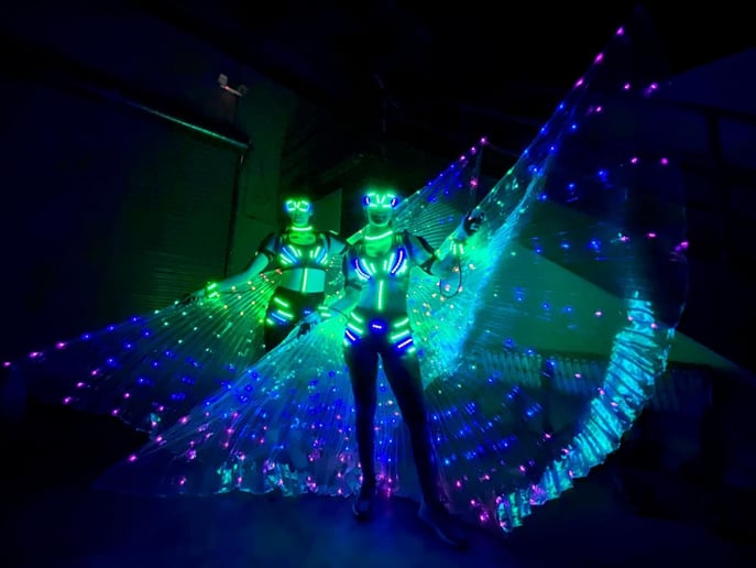 Gallery photo 1 of LED Fun