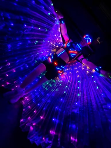 Gallery photo 5 of LED Fun