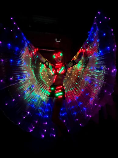 Gallery photo 6 of LED Fun