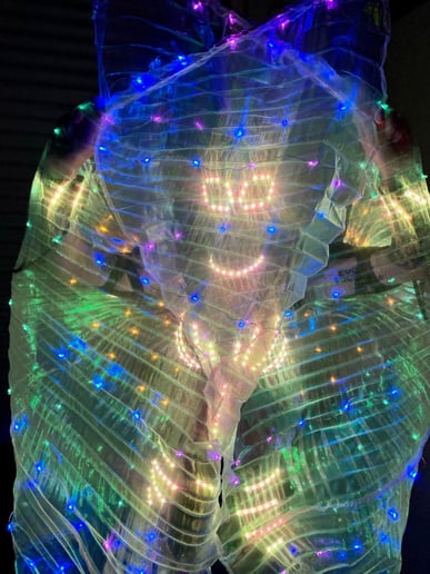 Gallery photo 8 of LED Fun