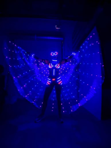 Gallery photo 9 of LED Fun