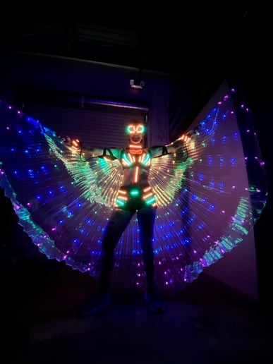 Gallery photo 10 of LED Fun