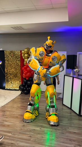 Gallery photo 3 of Led Party Robots Show