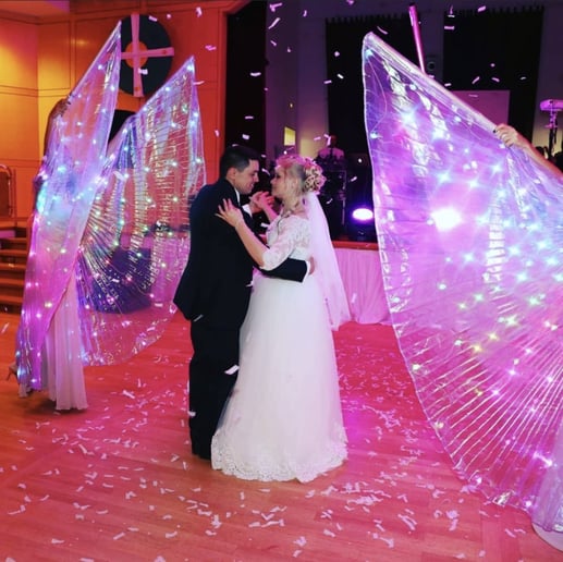 Gallery photo 4 of LED Wings Show
