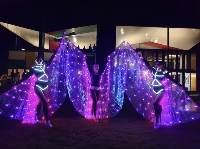 Gallery photo 6 of LED Wings Show