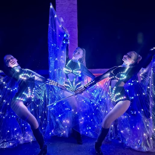 Gallery photo 8 of LED Wings Show
