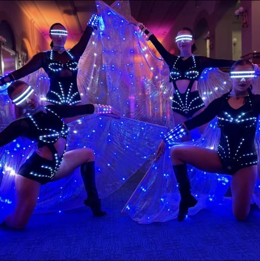 Gallery photo 9 of LED Wings Show