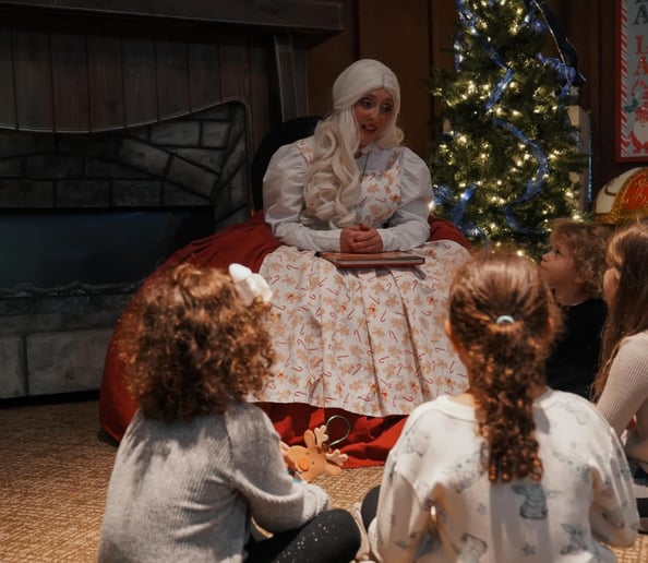Gallery photo 6 of Lee County Santa
