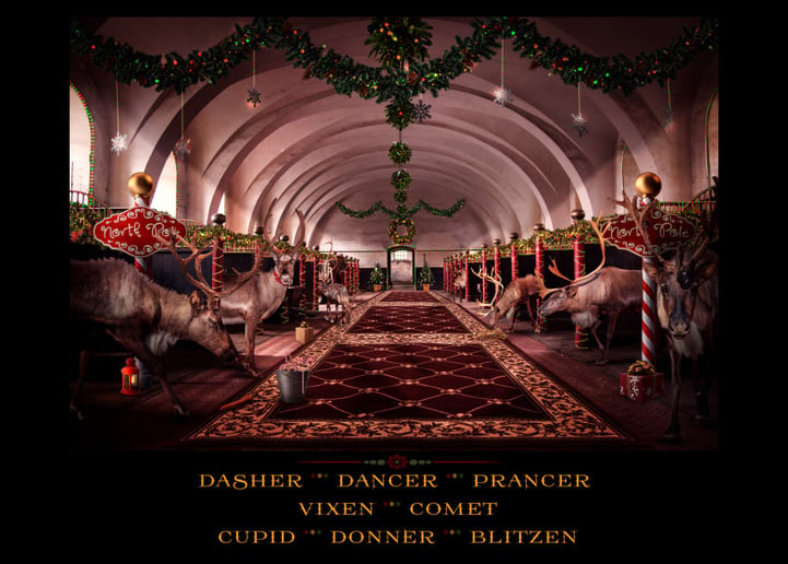 Gallery photo 31 of Legendary Christmas Co.
