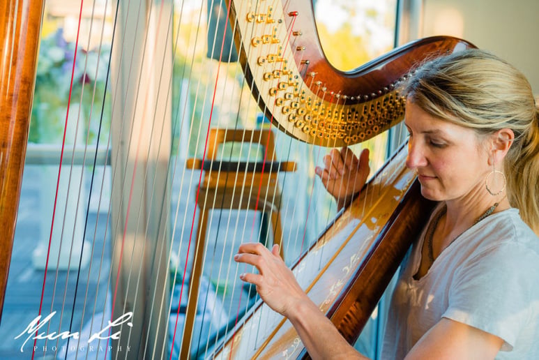 Gallery photo 5 of Leigh Brown - Harpist