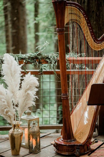 Gallery photo 6 of Leigh Brown - Harpist