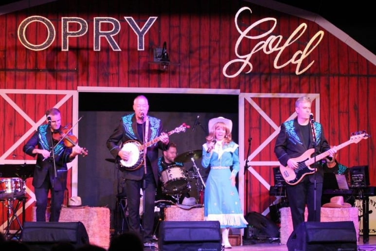 Gallery photo 3 of Leisa Way & The Wayward Wind Band