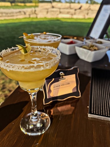Gallery photo 10 of Lemon and Lime Mobile Bar