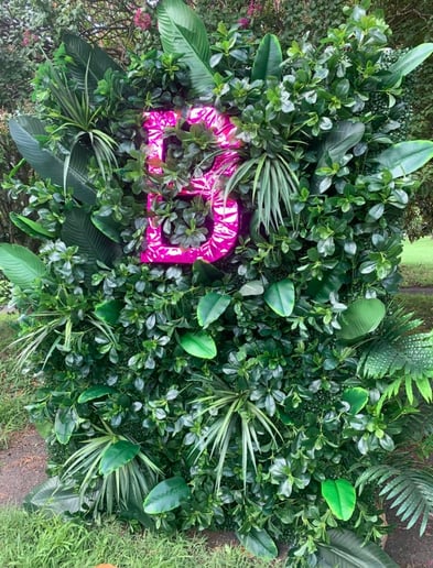 Hire Flower Walls by Leslie Arnelle - Party Rentals in Washington
