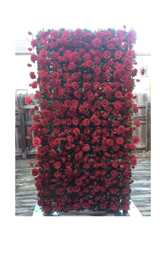 Hire Flower Walls by Leslie Arnelle - Party Rentals in Washington