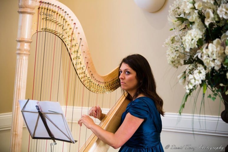 Gallery photo 3 of Lethicia Caravello the Harpist