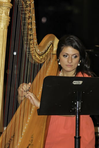 Gallery photo 6 of Lethicia Caravello the Harpist