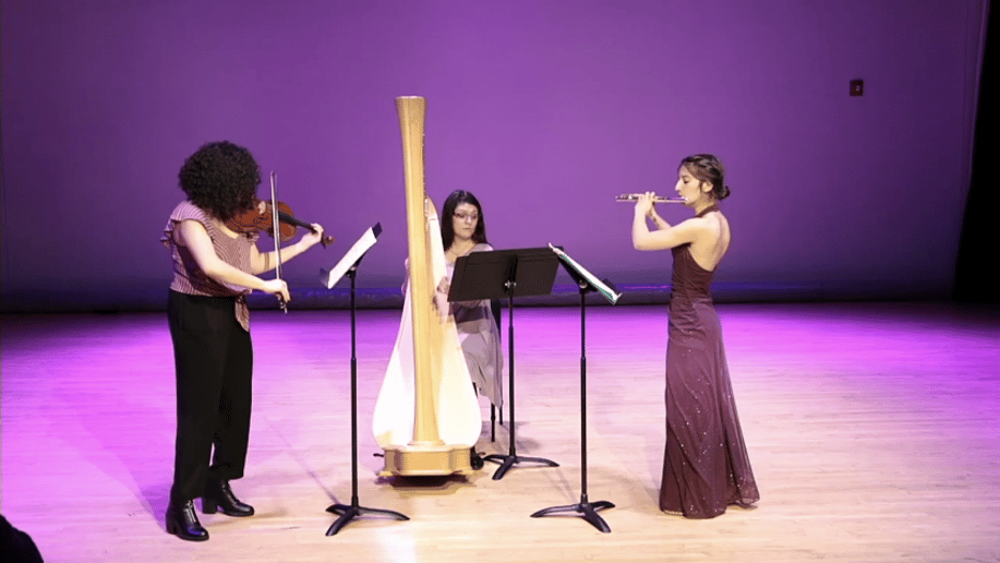 Gallery photo 8 of Lethicia Caravello the Harpist