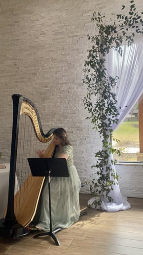 Gallery photo 1 of Lethicia Caravello the Harpist