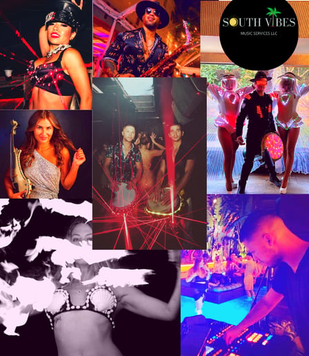 Gallery photo 1 of South Vibes Music Entertainment