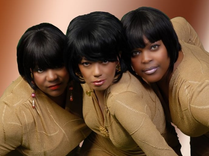 Gallery photo 11 of LeVonne King: Diana Ross Look Alike, Sing Alike