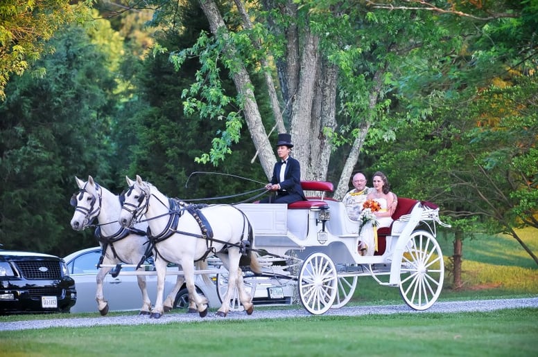 Gallery photo 2 of Lexington Carriage Company