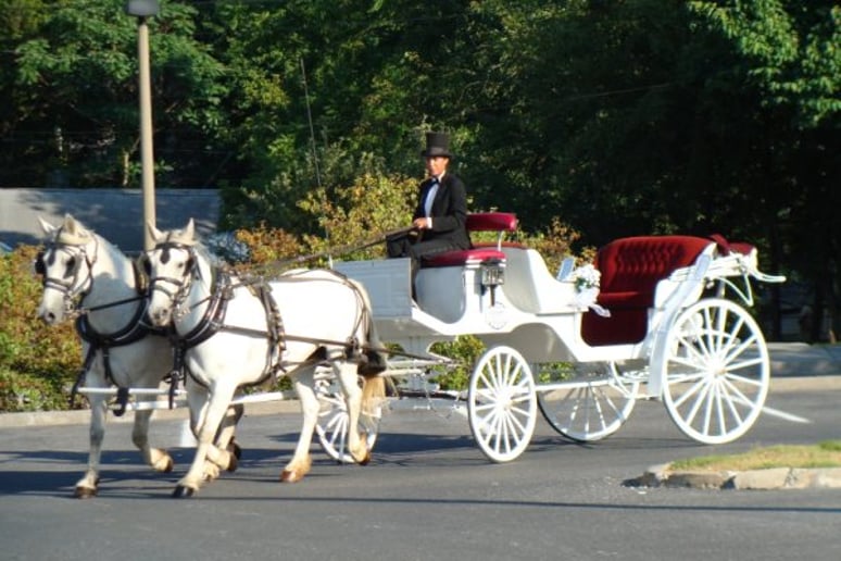 Gallery photo 3 of Lexington Carriage Company