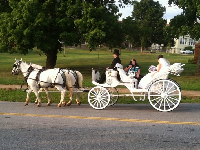Gallery photo 1 of Lexington Carriage Company