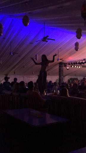 Gallery photo 9 of Leyla Bellydance
