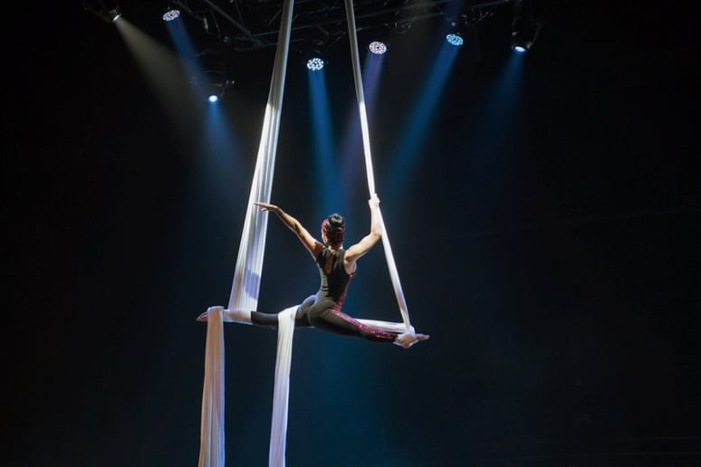 Gallery photo 4 of Leylen Aerial