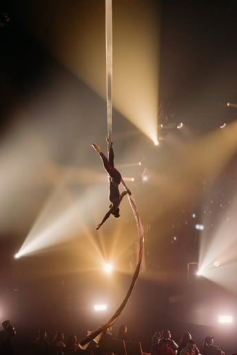 Gallery photo 6 of Leylen Aerial