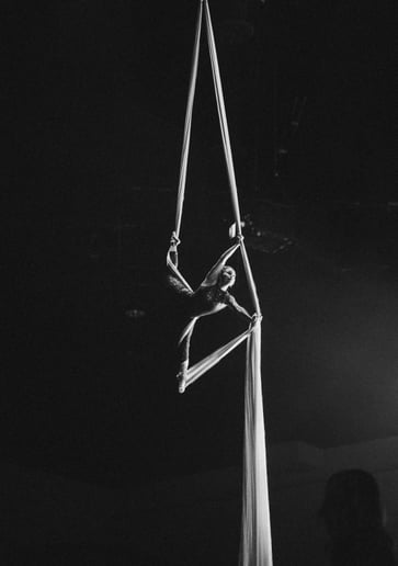 Gallery photo 2 of Leylen Aerial