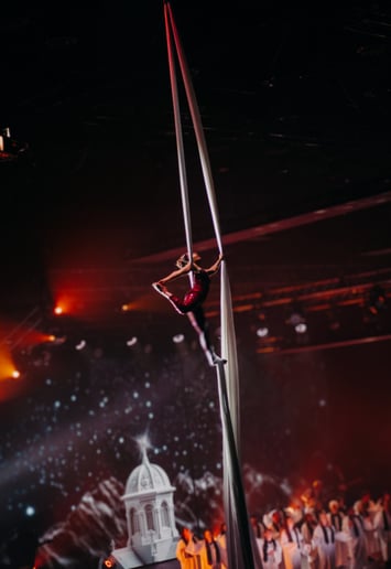 Gallery photo 9 of Leylen Aerial