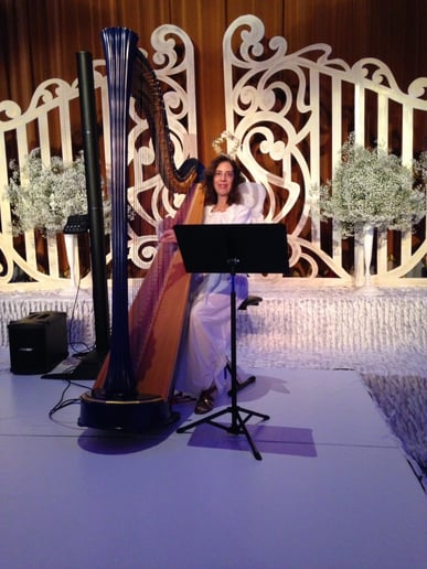 Gallery photo 6 of Harpnotes