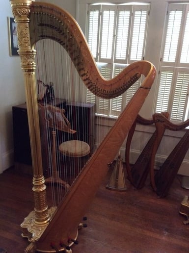 Gallery photo 5 of Harpnotes
