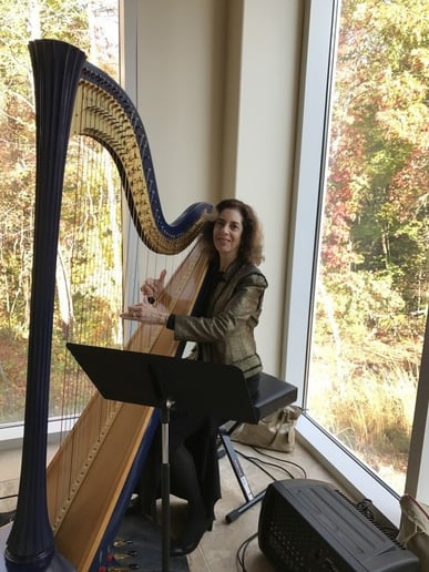 Gallery photo 8 of Harpnotes