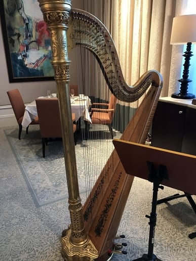 Gallery photo 9 of Harpnotes