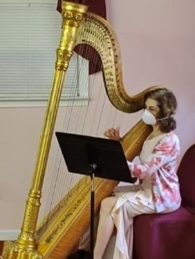 Gallery photo 12 of Harpnotes