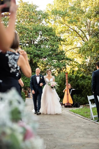 Gallery photo 2 of Liana Alpino, Harpist
