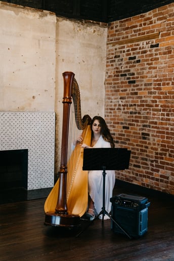Gallery photo 6 of Liana Alpino, Harpist