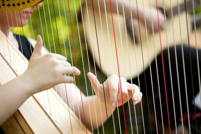 Gallery photo 1 of Liann Cline, Harpist