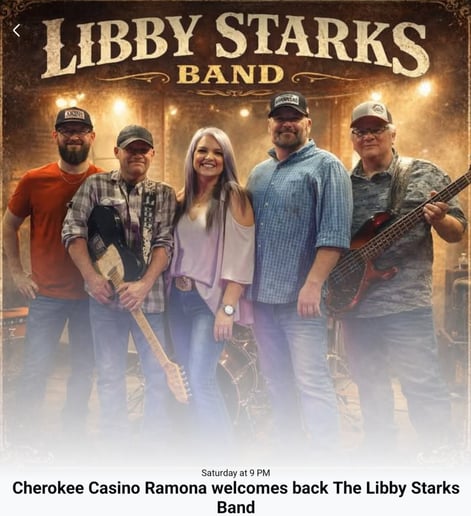Gallery photo 3 of Libby Starks Band