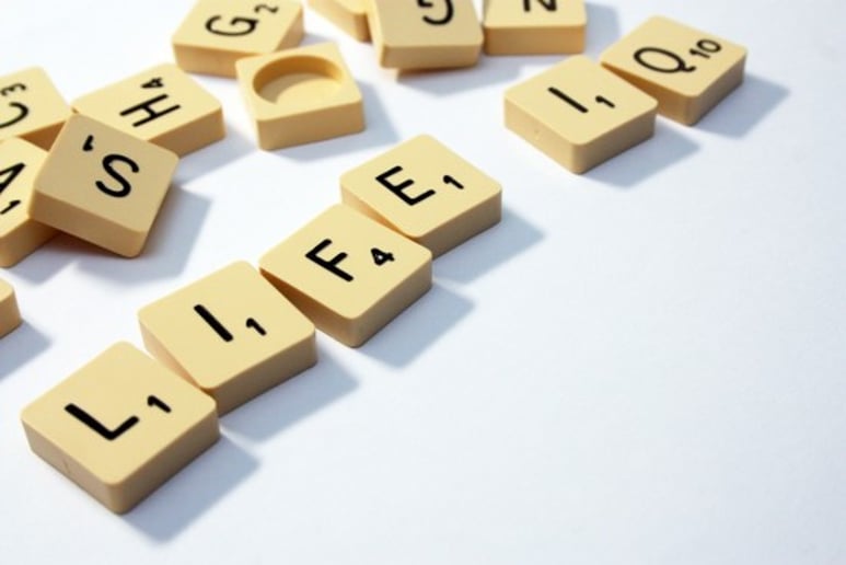 Gallery photo 4 of Life IQ