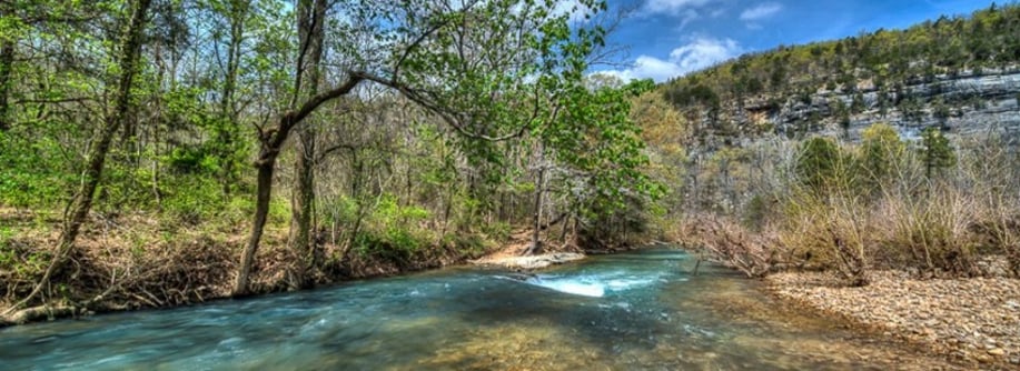 Gallery photo 1 of Life is a River - Experiences in Leadership