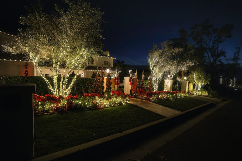 Gallery photo 1 of Lights Up Today
